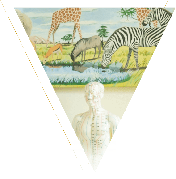 foto-ultima seccion-kinesiologia