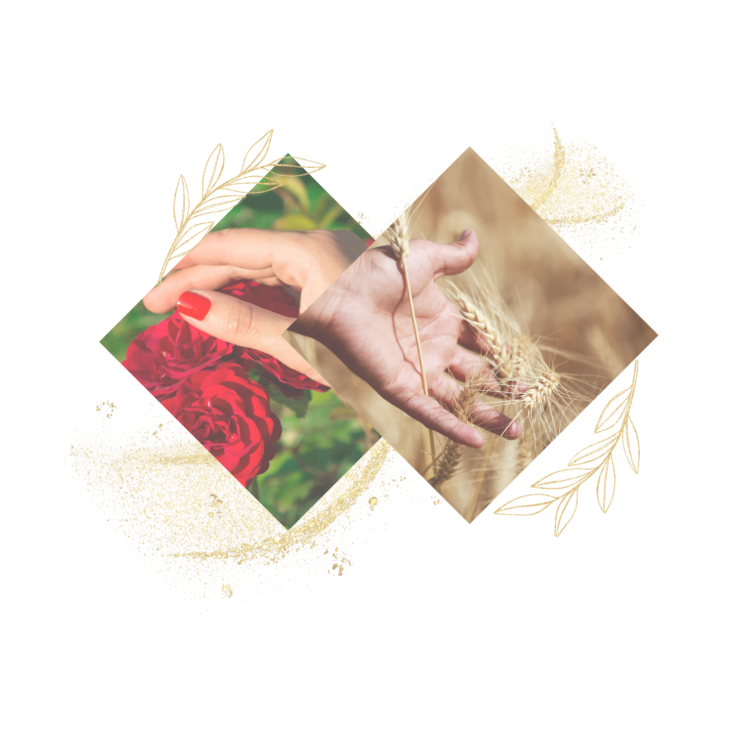 Kinesio-amar Programm für bewusste Liebe und achtsame Sexualität